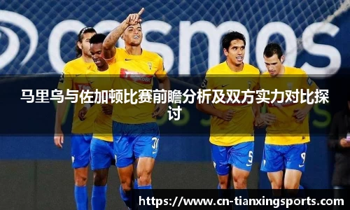 天行体育官网